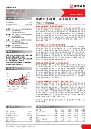 检测业务稳健，未来前景广阔