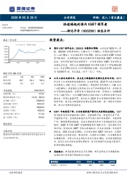 动态点评：快速崛起的国内IGBT领军者