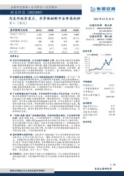 内生外延齐发力,半导体材料平台布局向好
