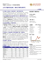 立足宁德布局全球,锂电引领电动时代