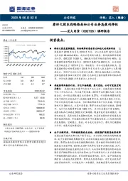 调研报告：看好大股东战略格局和公司业务高盈利弹性