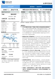 增资南油巩固资源型定位，引入平安实现共赢