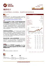 公司麦草畏收入占比较低，优嘉项目助力继续成长