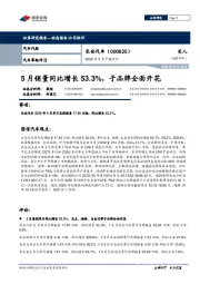 2020年5月产销点评：5月销量同比增长53.3%，子品牌全面开花