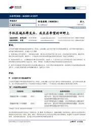 重大事件快评:手机区域品牌龙头,成长在希望的田野上