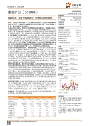 乘胜出击,金矿并购再发力,转债优化财务结构
