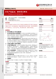 寒锐钴业首次覆盖报告：夯实产能基础，静待需求释放