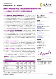 投资价值分析报告:国际化步伐加速推进,铸就全球防爆电器领军企业