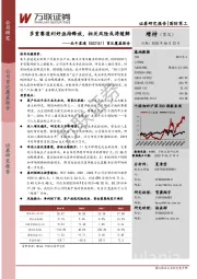 首次覆盖报告:多重赛道利好亟待释放,相关风险或将缓解