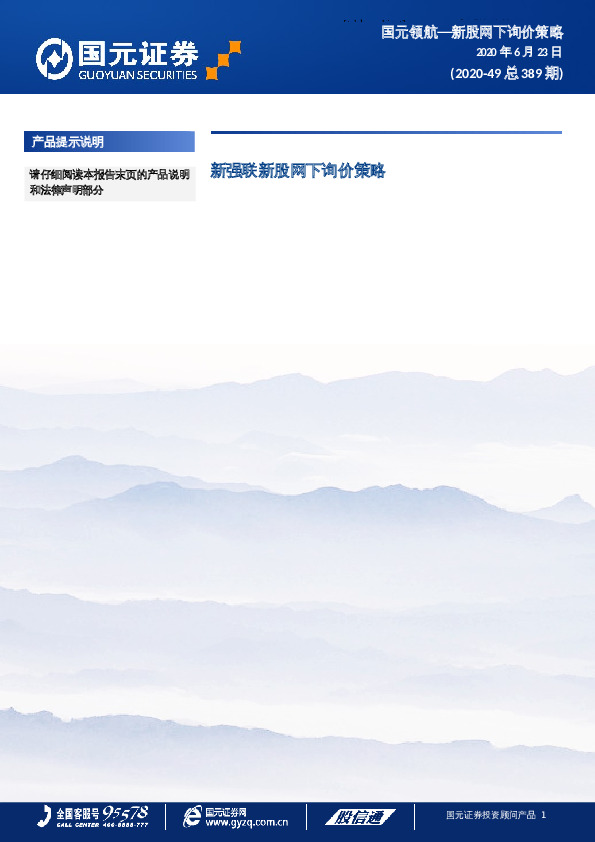 新强联新股网下询价策略