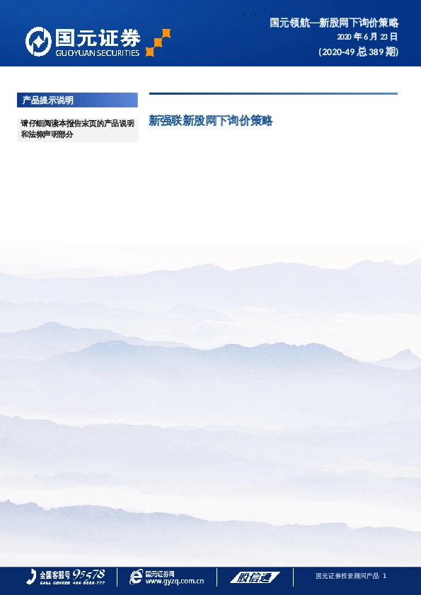 新强联新股网下询价策略