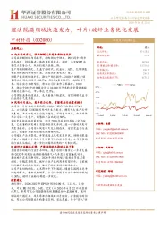 湿法隔膜领域快速发力,叶片+玻纤业务优化发展