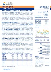 集团优质铜钼资产注入提升盈利，黄金资源注入潜力雄厚