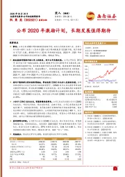 公布2020年激励计划，长期发展值得期待