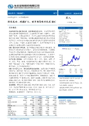 转型成功、规模扩大,被市场忽略的优质IDC