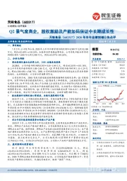 2020年半年业绩预增公告点评:Q2景气度高企,股权激励及产能加码保证中长期成长性