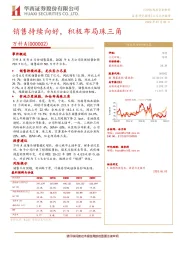 销售持续向好，积极布局珠三角