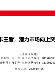 长城汽车深度报告之五：皮卡王者，潜力市场向上突破