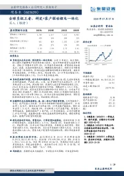 全球负极王者，研发+客户驱动锂电一体化