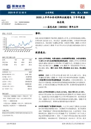 事件点评：2020上半年扣非利润两位数增长 下半年看蓝标在线