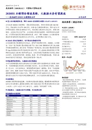 美亚柏科2020H1业绩预告点评：2020H1业绩预告增速亮眼，大数据业务有望提速