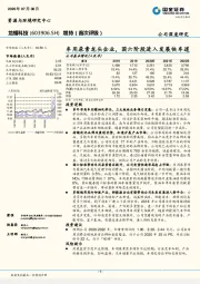 车用尿素龙头企业，国六阶段进入发展快车道