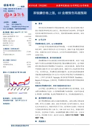 草铵膦价格上涨，Q2业绩预告再超预期