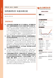 深度研究：迈向美好生活 HA龙头再出发