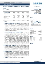 基础IT新生态建设带来高弹性，本土中间件龙头崛起