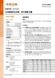 6月销量同比大增、皮卡销售火爆