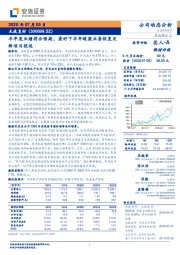 半年度业绩符合预期,看好下半年碳梁业务恢复及新项目投运