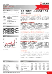 中报小幅预增，三大板块势头良好