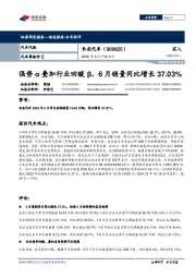 2020年6月产销点评:强势α叠加行业回暖β,6月销量同比增长37.03%