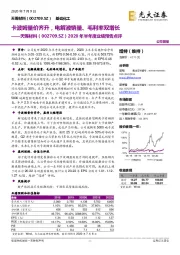 2020年半年度业绩预告点评:卡波姆量价齐升,电解液销量、毛利率双增长
