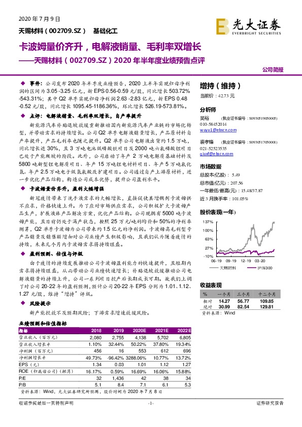 2020年半年度业绩预告点评：卡波姆量价齐升，电解液销量、毛利率双增长