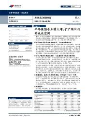 2020年半年报业绩预告:半年报预告业绩大增,扩产项目打开成长空间
