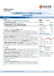 卫星石化深度报告：乙烷裂解项目打开盈利天花板