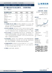 20H1业绩预告点评:国内爆发海外依然高增长,业绩超预期!