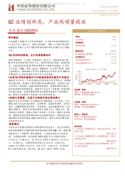 Q2业绩创新高,产品线增量提效