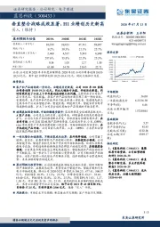 垂直整合战略成效显著，H1业绩创历史新高