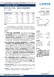 国内外齐头并进，提价红利持续释放