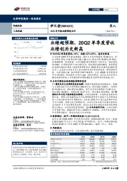 2020年中报业绩预告点评:业绩超预期,20Q2单季度营收业绩创历史新高