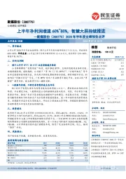2020年半年度业绩预告点评:上半年净利润增速60%~80%,智慧大屏持续推进