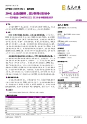 2020年中期预告点评：20H1业绩超预期，缬沙坦降价影响小