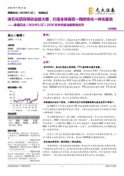 2020年半年度业绩预告点评:浙石化项目带动业绩大增,打造全球首屈一指的炼化一体化基地