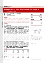 濮阳惠成深度报告：顺酐酸酐国产化龙头，牵手战投加速光电材料发展