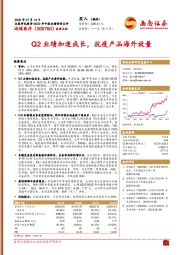 Q2业绩加速成长,抗疫产品海外放量