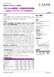 2020年中报预告点评:20Q2收入明显提速,多因素致利润超预期