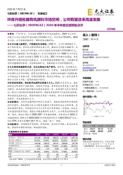 2020年半年度业绩预告点评:环保升级拓展有机颜料市场空间,公司有望迎来高速发展