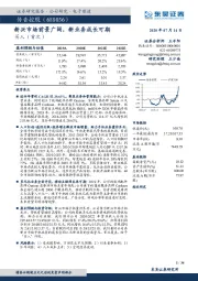 新兴市场前景广阔，新业务成长可期